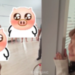 ED Mosaic 福利资源合集-[700.48G]