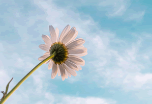 日系写真视频 福利资源合集-[42V-66.2G]